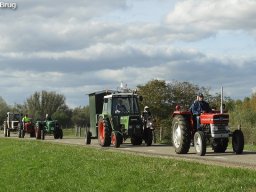 ws 281